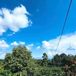 Bán đất Hóc Môn 4,2 sào (P. Tân Lập) - Ảnh thu nhỏ 4