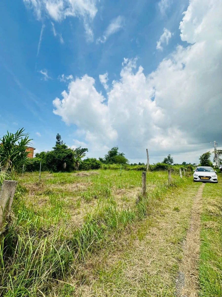 Bán đất cây trồng 500m2 gần Phan Thiết - Ảnh 1