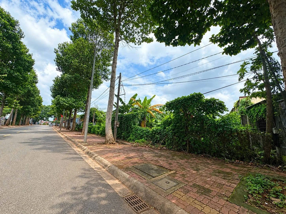 Bán đất mặt tiền Lê Lơi Ngãi Giao 110m² Bà Rịa - Vũng Tàu - Ảnh 1