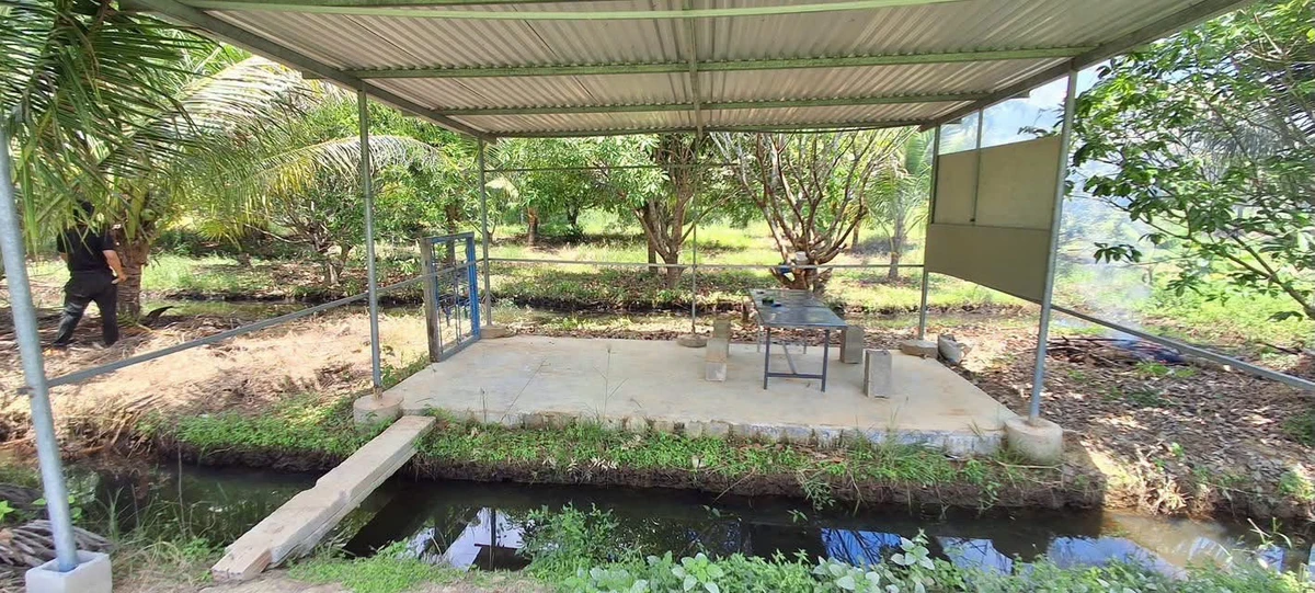 Bán lô đất 2200m2 Diên Khánh Khánh Hòa - Ảnh thu nhỏ 5
