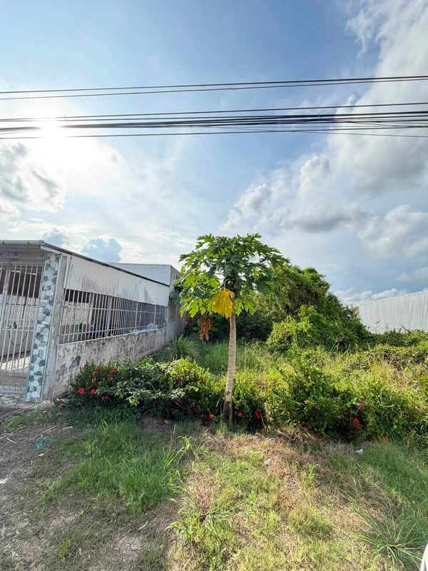 Bán nền view sông 207m² gần Cầu Bạch Ngưu, Cà Mau 670 triệu