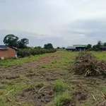Bán lô đất CLN 1000m2 mặt tiền Nhựa Xoài, Hàm Thắng, Lâm Đồng - Ảnh thu nhỏ 2
