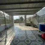 Nhà mặt tiền Long Chiến, 100m² thổ cư, 2 tỷ - Ảnh thu nhỏ 2