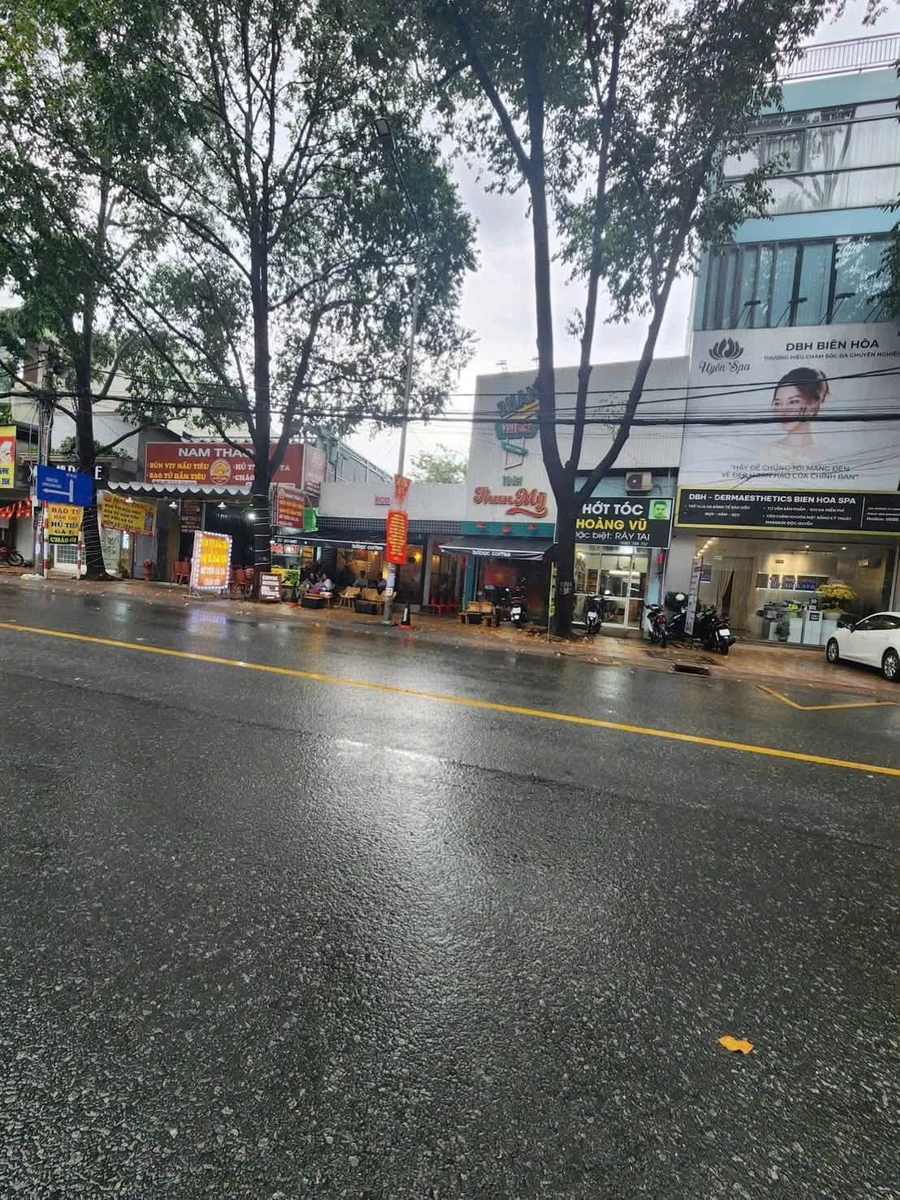 Bán lô đất mặt tiền đường Dương Tử Giang 148m2, giá 14,8 tỷ - Ảnh thu nhỏ 5
