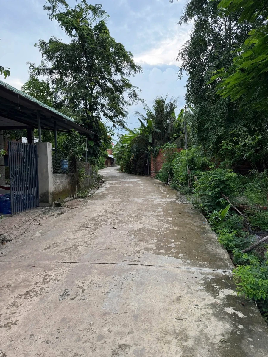Bán đất nền đầu tư 1.392m2 đường số 30 Nha Bích, Nhà Bè - Ảnh thu nhỏ 4