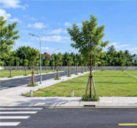 Bán đất thổ cư phân lô diện tích 80m2 giá chỉ 560 tr, sổ đỏ chính chủ - Ảnh thu nhỏ 4