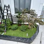 Biệt thự mái Nhật 625m² Xã Mỹ Hạnh – 6,5 tỷ - Ảnh thu nhỏ 1