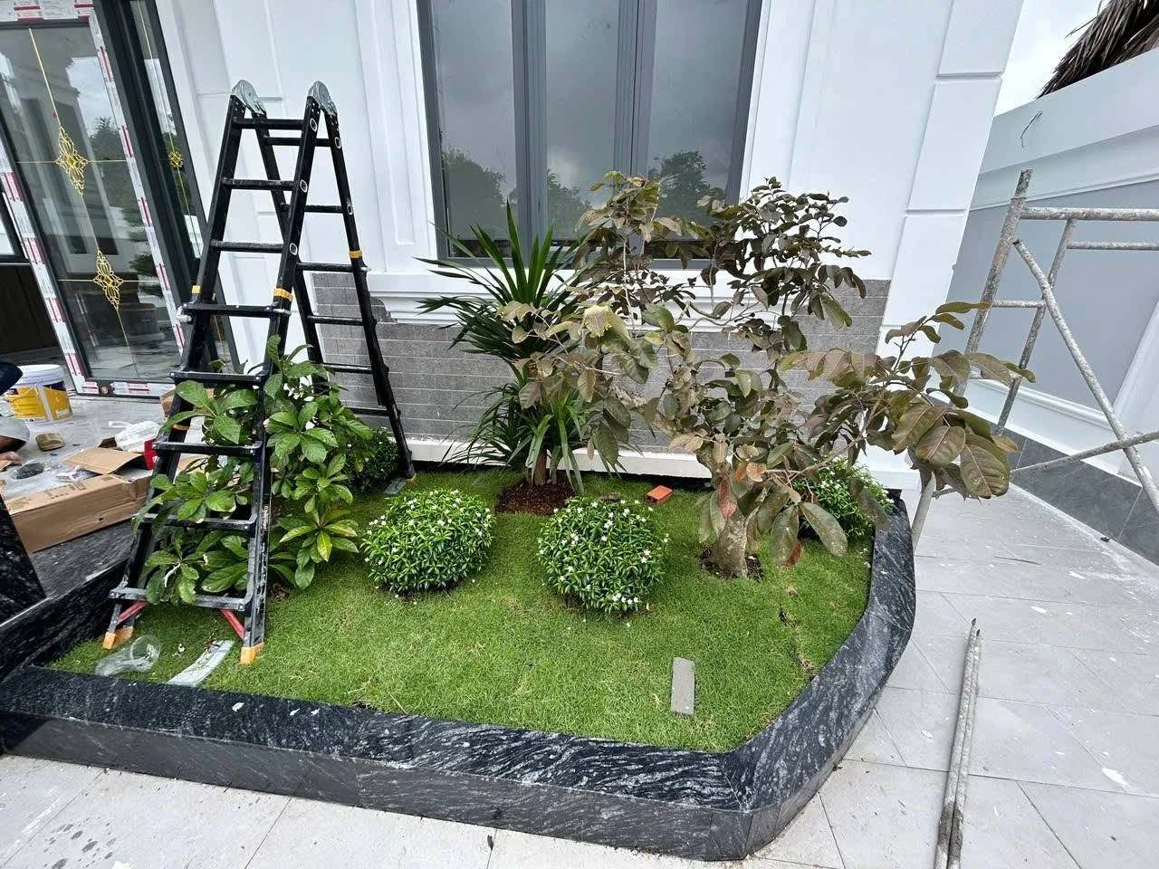 Biệt thự mái Nhật 625m² Xã Mỹ Hạnh – 6,5 tỷ - Ảnh 1