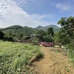 5,5 tỷ bán 1237m2/200m2 thổ cư tại Yên Xuân, Hà Nội - Ảnh thu nhỏ 6