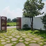 Bán nhà cấp 4 với vườn cây ăn trái 2400m2 - Ảnh thu nhỏ 2
