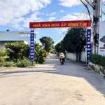 Bán đất thổ cư 5x31m sổ hồng riêng gần chợ Đức Hòa, giá 2,45 tỷ - Ảnh thu nhỏ 3