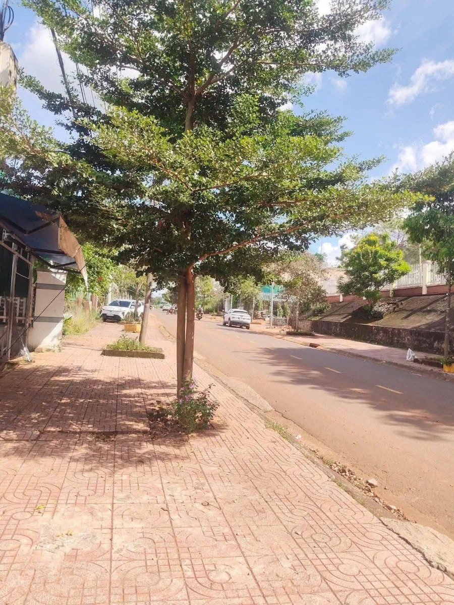 Bán nhà mặt tiền Nguyễn Thái Học 544m² 3 tỷ - Ảnh thu nhỏ 3