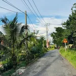 Bán đất mặt tiền đường nhựa 6,5×63m Tây Ninh 600 triệu - Ảnh thu nhỏ 5