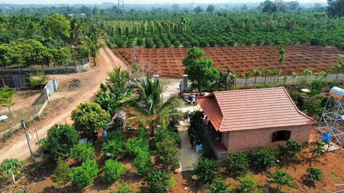 Bán đất 6.038m2 EaKao trồng cà phê sầu riêng - Ảnh thu nhỏ 4