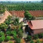 Bán đất 6.038m2 EaKao trồng cà phê sầu riêng - Ảnh thu nhỏ 4