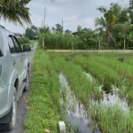 Bán đất nền 5x20m Hiệp Hòa từ 380 triệu - Ảnh thu nhỏ 2