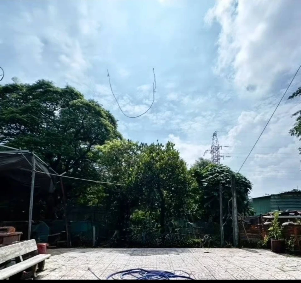 Bán đất thổ cư 259m² Lê Trọng Tấn Tân Phú - Ảnh thu nhỏ 3