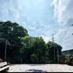Bán đất thổ cư 259m² Lê Trọng Tấn Tân Phú - Ảnh thu nhỏ 3