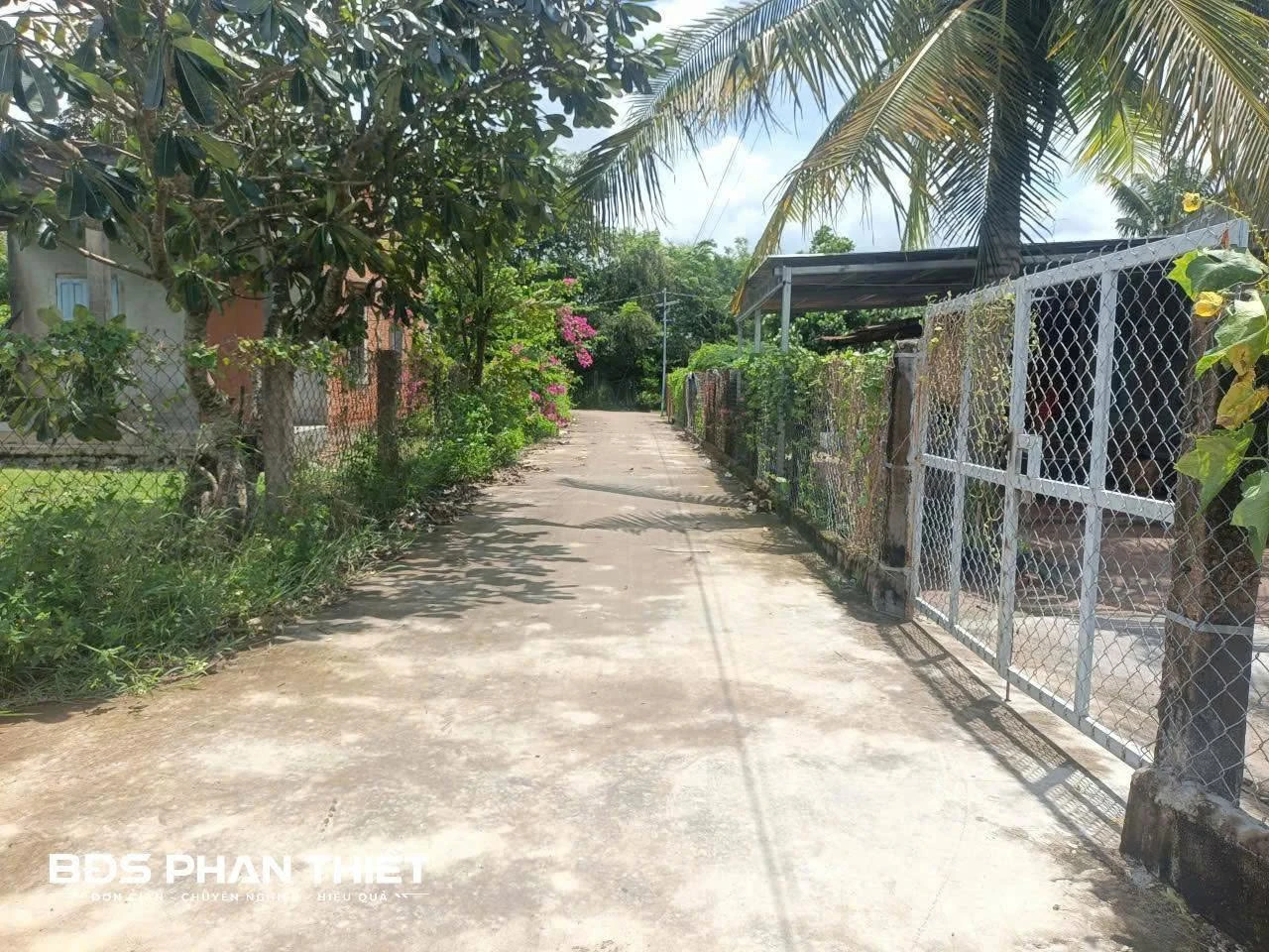 Bán đất vườn CLN 753,9m² tại Hàm Liêm, Phan Thiết - Ảnh 1