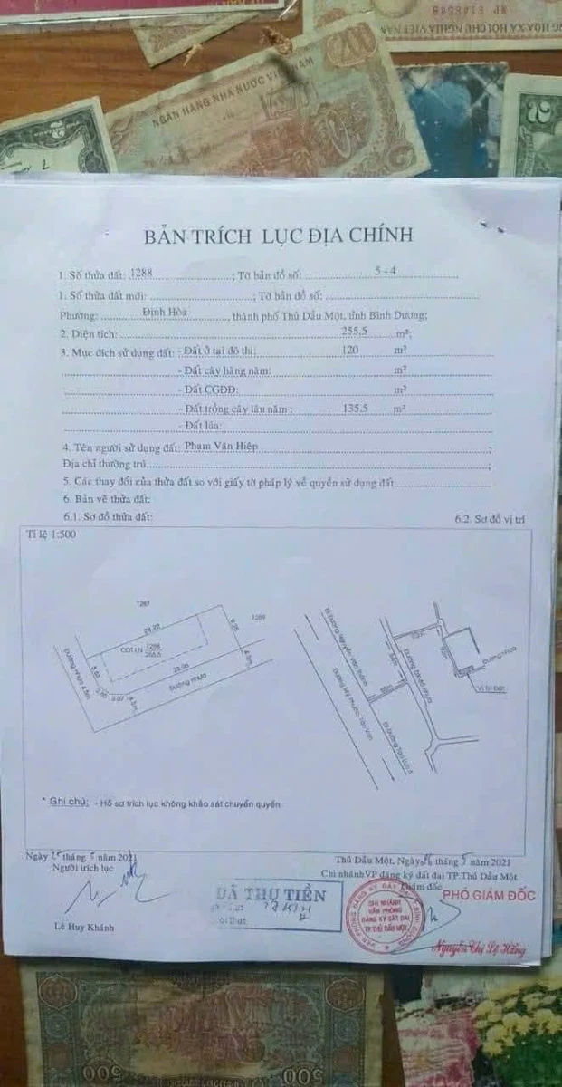 Bán lô góc 2 mặt tiền 255m² Định Hòa, Bình Dương 3.1 tỷ - Ảnh thu nhỏ 2