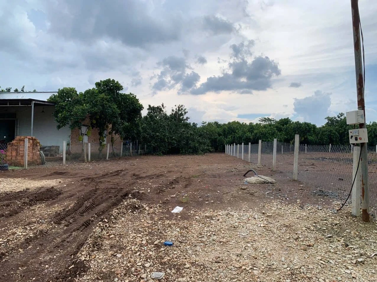 Bán đất vườn 2457m2 có 260m2 thổ cư mặt tiền đường nhựa ấp 9 Xuân Tây - Ảnh thu nhỏ 4