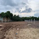 Bán đất vườn 2457m2 có 260m2 thổ cư mặt tiền đường nhựa ấp 9 Xuân Tây - Ảnh thu nhỏ 4