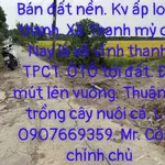 Bán đất thổ cư 100m2 kèm đất ruộng, mặt tiền lộ đal tại Thạnh Mỹ, Vĩnh Thạnh, Cần Thơ - Ảnh thu nhỏ 3