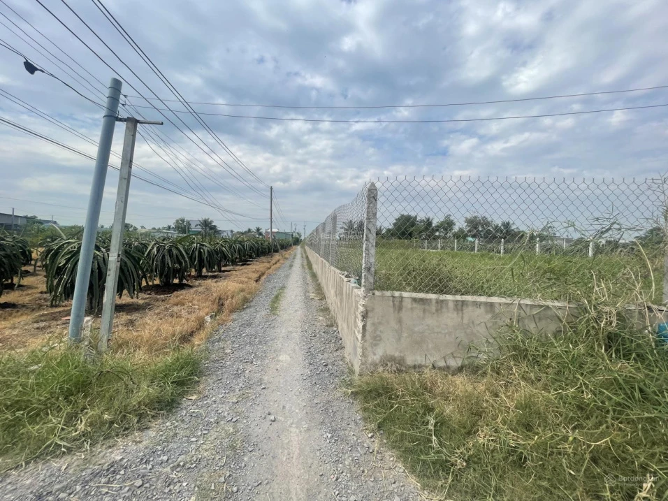 Bán đất 100.4m2, 280 triệu, Xã Kiểng Phước, Huyện Gò Công Đông, Tiền Giang - Ảnh thu nhỏ 3