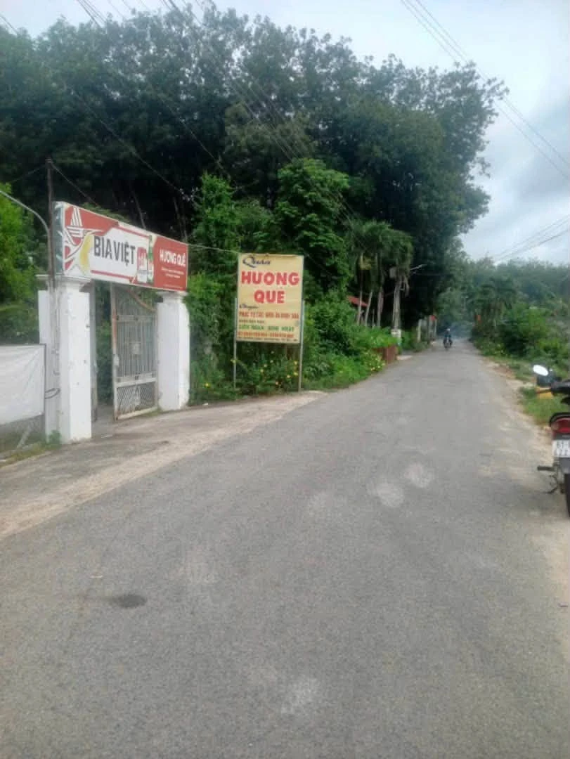 Bán lô đất 5000m² đường nhựa Phú An, Bình Dương - 3 tỷ 100 - Ảnh 1
