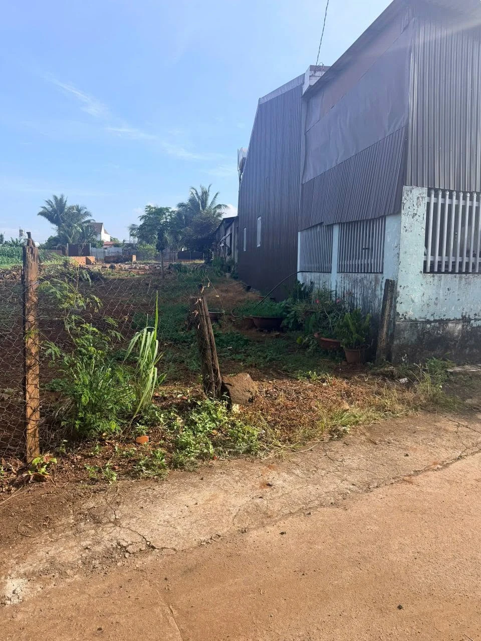 Bán đất 5x28m Ea Kao Đắk Lắk 795 triệu - Ảnh 1