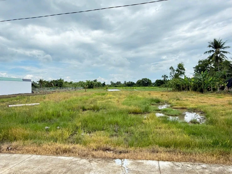 Bán đất lúa và vườn 4000m2 xã Vàm Cỏ, Tây Ninh, giá 450 triệu/1000m2
