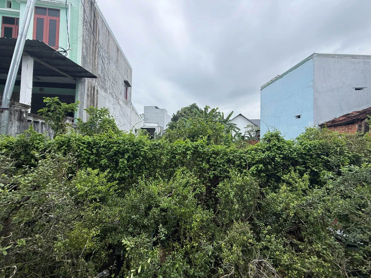 Bán lô đất Tuy Phước 138,7m² full thổ cư 1 tỷ 2 - Ảnh thu nhỏ 4