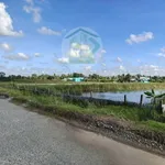 Bán nền 750m² ở Xã Ninh Thạnh Lợi, Cà Mau 450 triệu - Ảnh thu nhỏ 2
