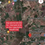 Bán đất 924m² xã Đất Đỏ, Hồ Chí Minh - Ảnh thu nhỏ 5