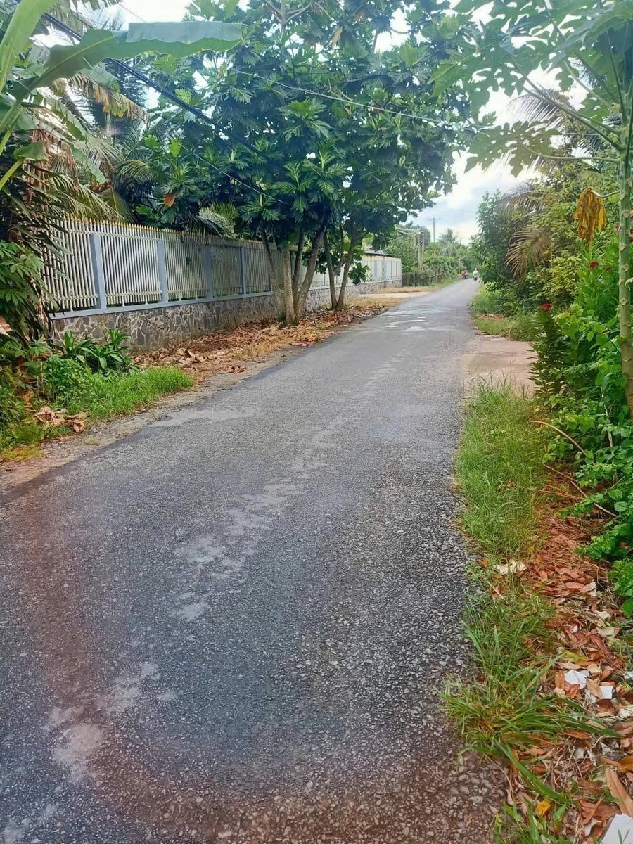 Bán đất mặt tiền Thành Triệu, Châu Thành, Bến Tre 442 m² - Ảnh thu nhỏ 2