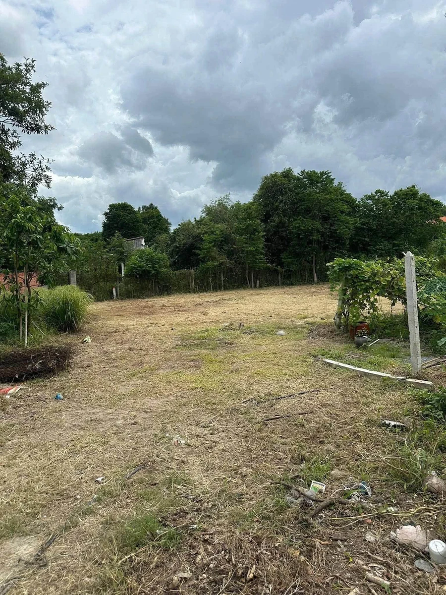 Bán lô đất Phú An 137,5m² chỉ 1 tỷ 50 - Ảnh thu nhỏ 3