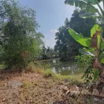 Bán đất ruộng góc 2 mặt tiền 150m x 400m Mong Thọ B Kiên Giang - Ảnh thu nhỏ 5
