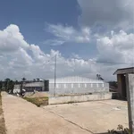 Bán đất Ea Tiêu 252m2, 650 triệu, đường bê tông 6m - Ảnh thu nhỏ 1