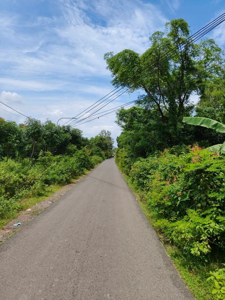 Bán đất 1.000m² giáp ranh Bảo Vinh, mặt tiền 37m - Ảnh thu nhỏ 2