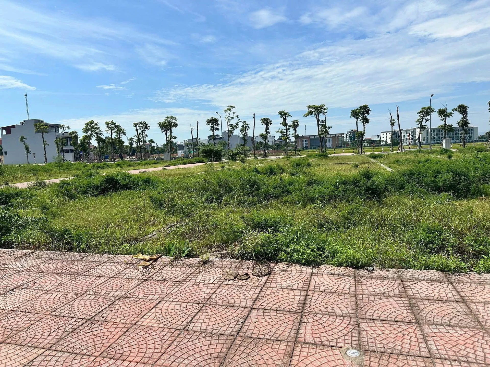 Bán đất Vân Đình Ứng Hòa 107,3m2 giá 5 tỷ - Ảnh 1
