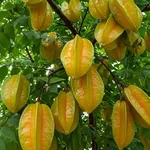 Bán nhà hẻm 3 tầng đường Hoàng Văn Thụ, Quy Nhơn, 46,7m2, giá 3,66 tỷ - Ảnh thu nhỏ 1