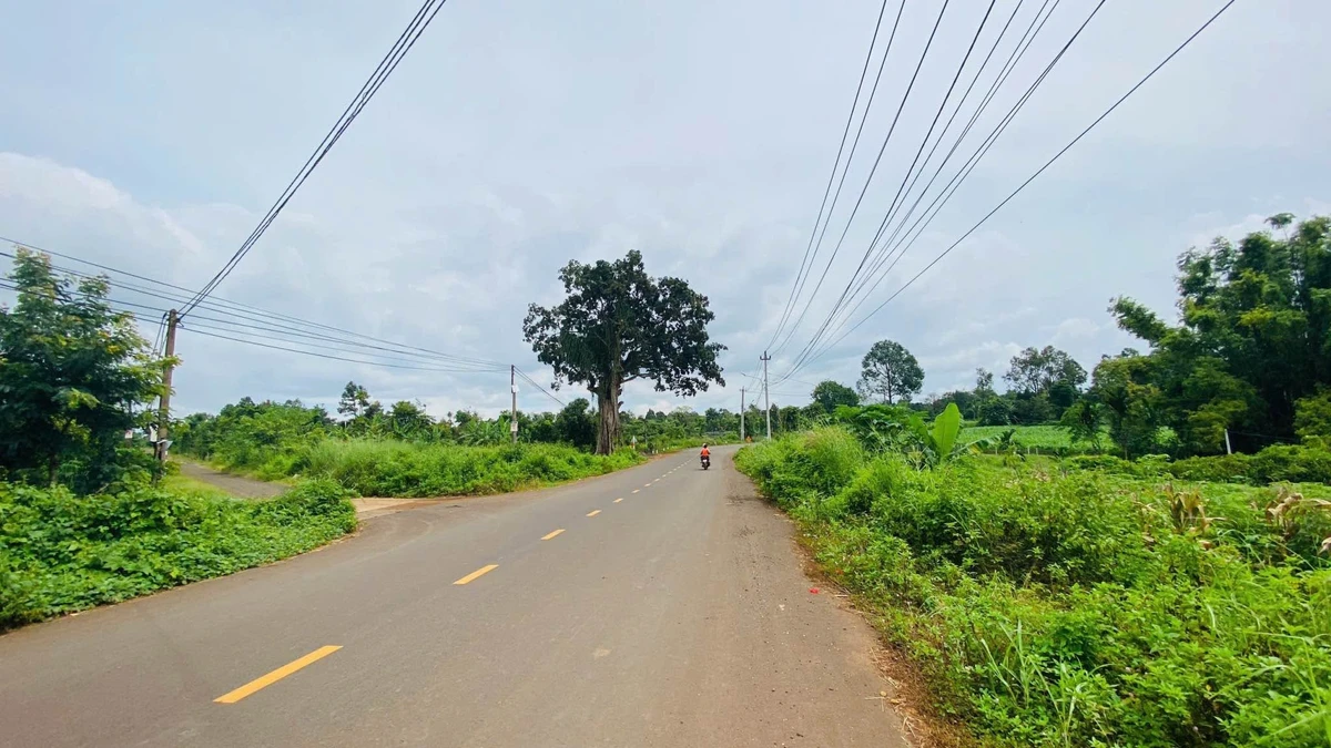 Bán đất 2 mặt tiền Phạm Huy Chú, Đắk Lắk, 5.281 m² - Ảnh thu nhỏ 3