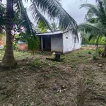 Bán đất mặt tiền 1700m² Huyện Lộ ĐH 22, Bến Tre - Ảnh thu nhỏ 5