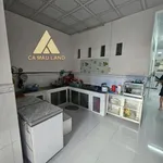 Bán nhà cấp 4 150m² Khu Hoàng Tâm Cà Mau 1 tỷ - Ảnh thu nhỏ 3