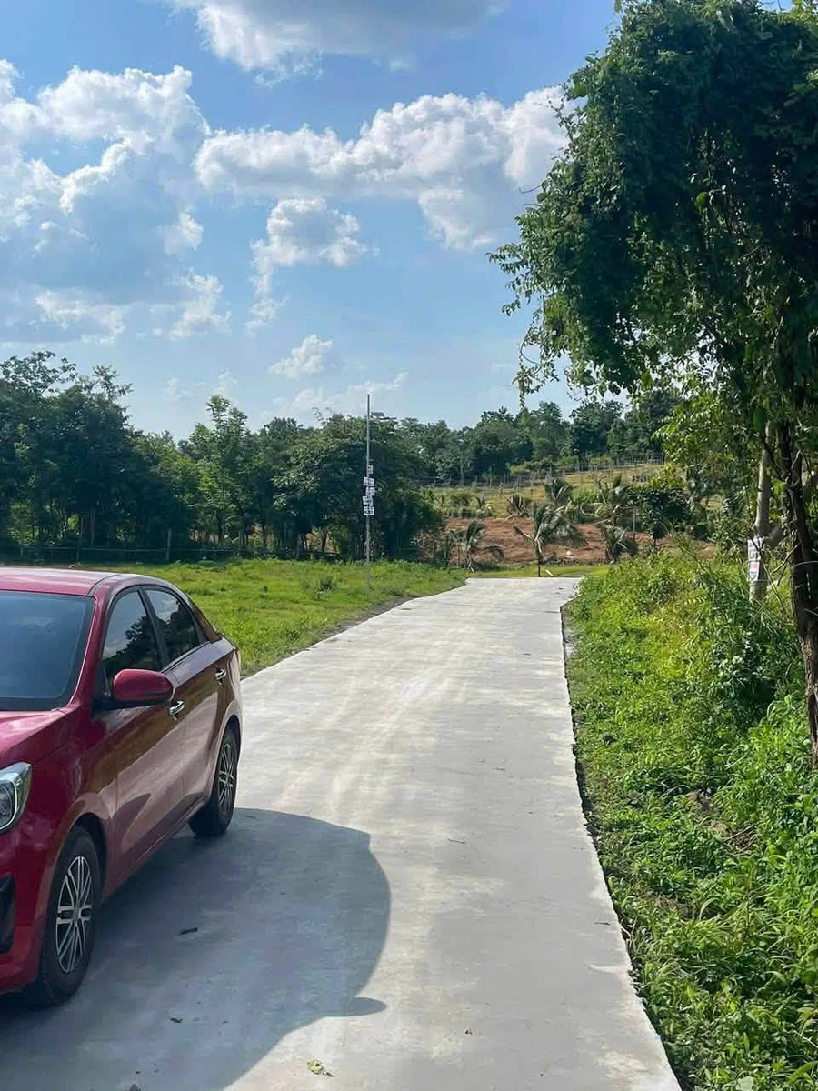 Bán đất Phường BMT 1000m2 mặt đường 11m giá 750 triệu - Ảnh thu nhỏ 5