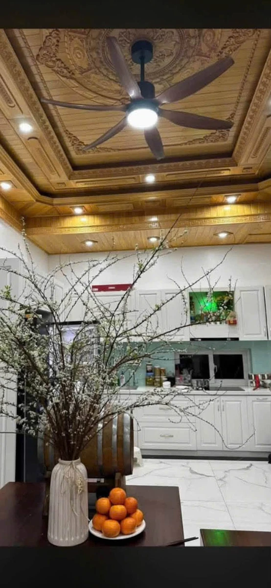 Bán villa 3 tầng mặt tiền Tăng Bạt Hồ 318m2, Huế - Ảnh thu nhỏ 3