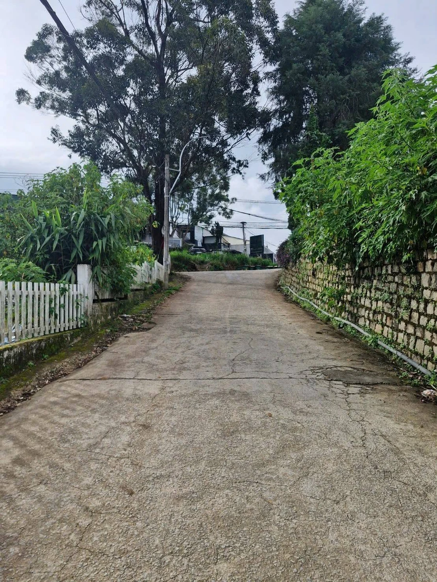 Bán đất view cáp treo 229m² Đà Lạt, 13 tỷ 9 - Ảnh thu nhỏ 3