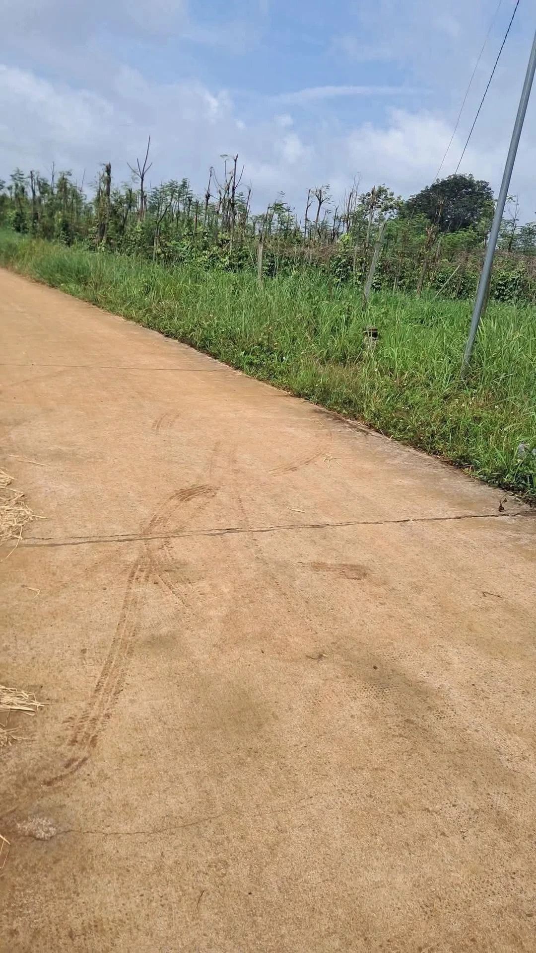 Bán đất 20x27 (540m²) mặt đường Lâm Đồng giá 390 triệu - Ảnh 1