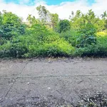 Bán đất Komleo Hòa Thắng 150m² 1,29 tỷ - Ảnh thu nhỏ 1