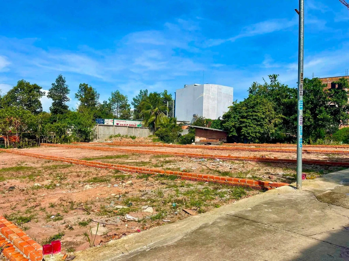 Bán đất 100m² đường DX43 Phú Mỹ, Bình Tân - Ảnh thu nhỏ 5